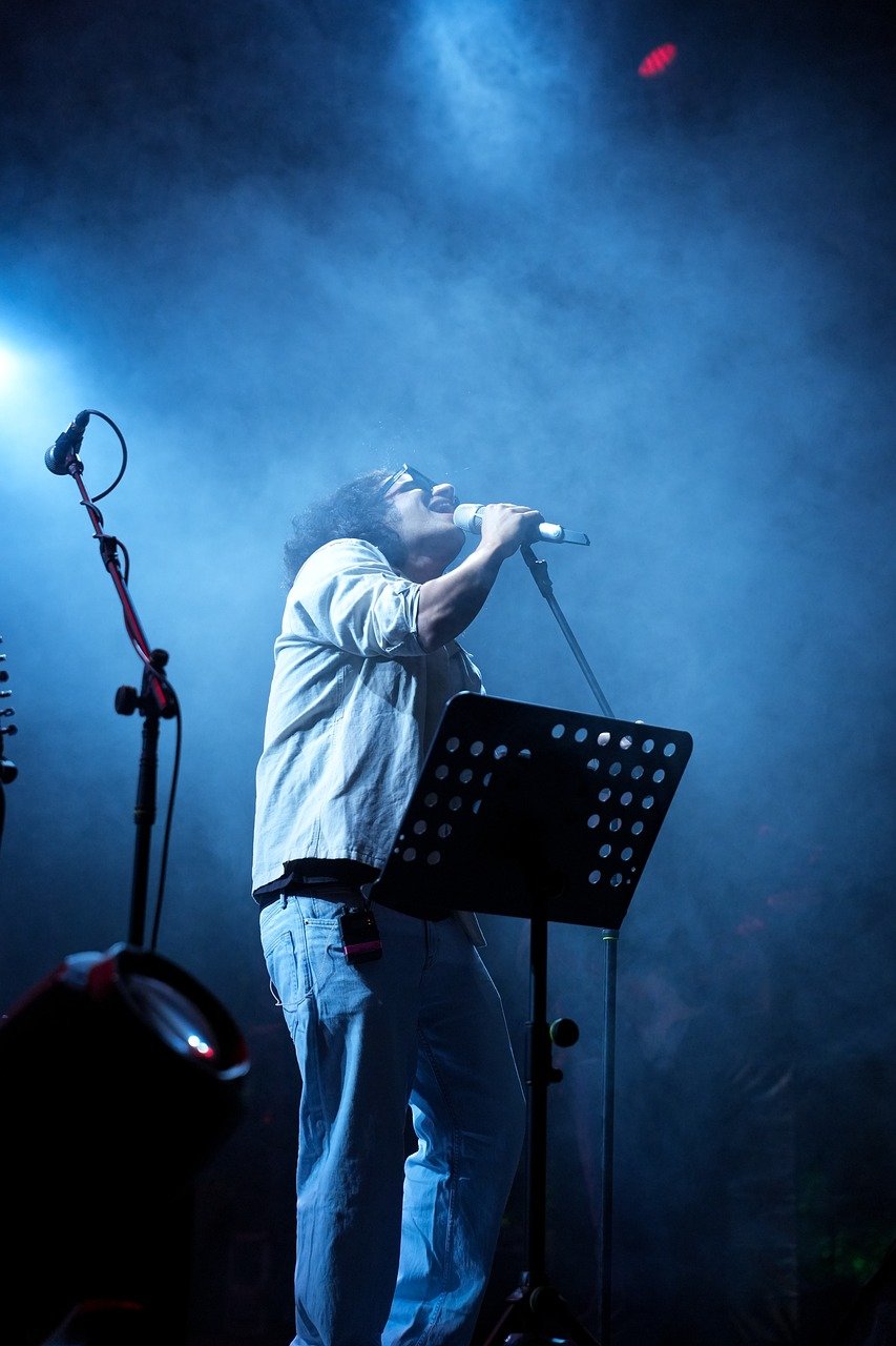 entertainment film music concert